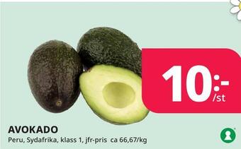 Tempo Avokado erbjuda