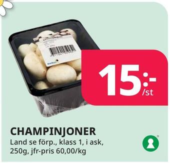 Tempo Champinjoner erbjuda
