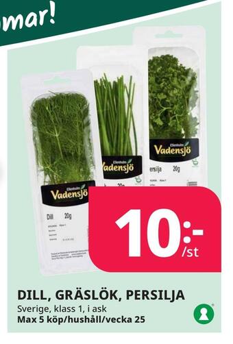 Tempo Dill, gräslök, persilja erbjuda
