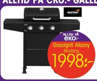 EKO Gasolgrill albany erbjuda