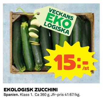 Ekologisk zucchini