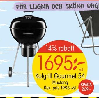EKO Kolgrill gourmet 54 erbjuda