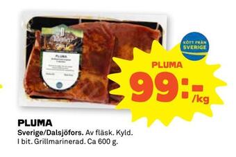 Stora Coop Pluma erbjuda