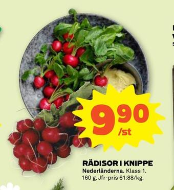Stora Coop Rädisor i knippe erbjuda