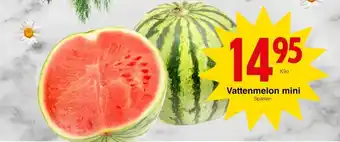 Matöppet Fanta vattenmelon erbjuda