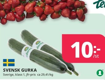 Tempo Odlarna.se gurka erbjuda