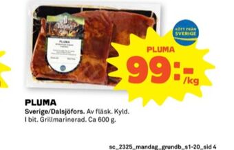 Stora Coop Dalsjöfors pluma erbjuda