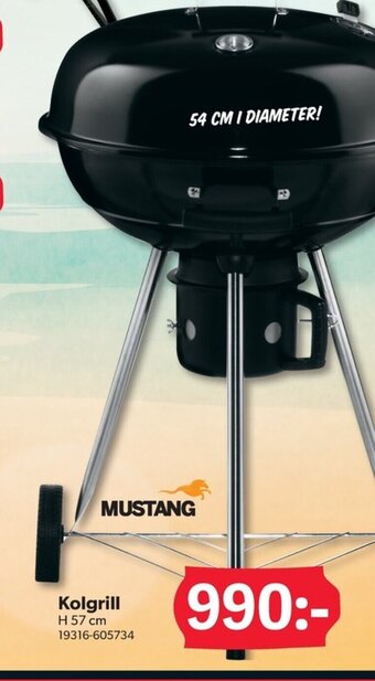 DollarStore Kolgrill erbjuda