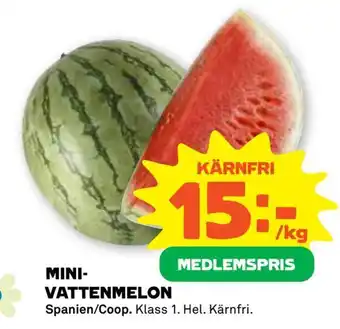 Stora Coop Mini vattenmelon erbjuda