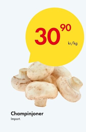 Snabbgross Champinjoner erbjuda