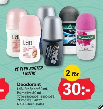 DollarStore Deodorant erbjuda
