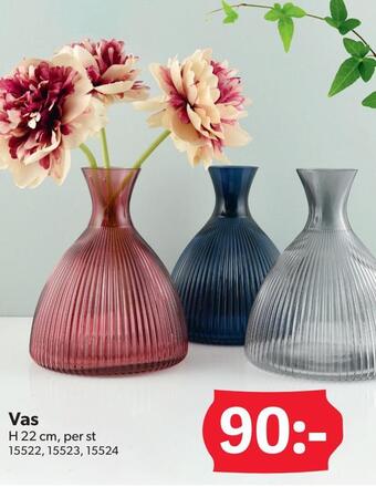 DollarStore Vas erbjuda