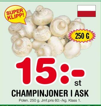 Nya Pulsen Champinjoner i ask erbjuda