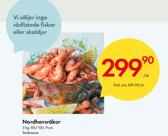 Seabreeze Nordhavsräkor 5kg