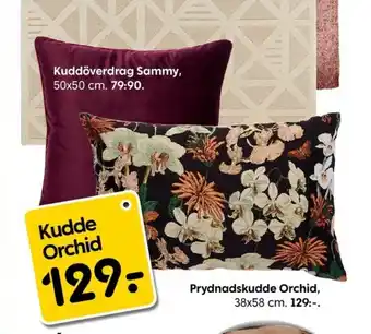 Kudde Orchid Prydnadskudde 38x58cm.