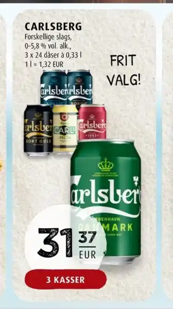 Scandinavian Park Carlsberg öl erbjuda