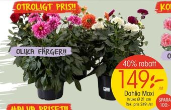 EKO Vila plantor erbjuda
