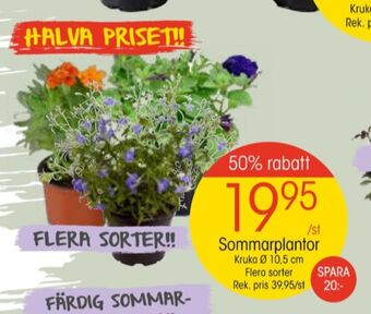 EKO Vila plantor erbjuda