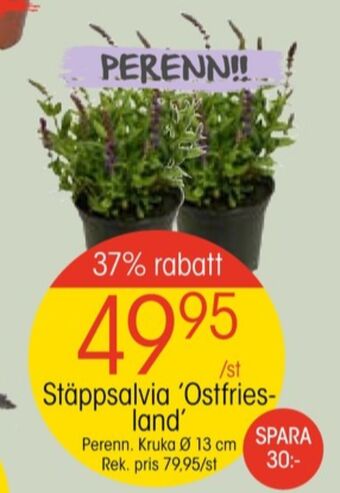 EKO Vila plantor erbjuda