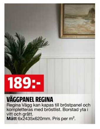 Bauhaus VÄGGPANEL REGINA erbjuda