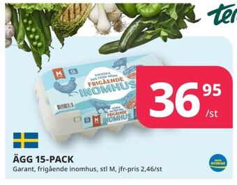 Tempo Garant ägg erbjuda