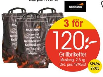 EKO Grillbriketter erbjuda