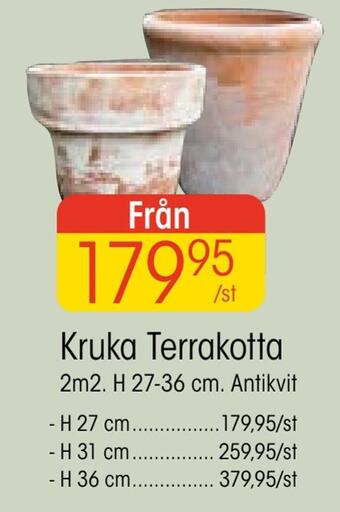 EKO Kruka terrakotta erbjuda
