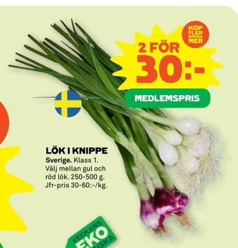 Stora Coop Lök i knippe erbjuda