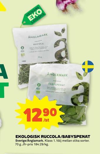Ekologisk ruccola/babyspenat