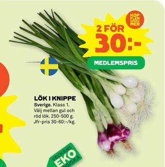 Coop Forum Lök i knippe erbjuda
