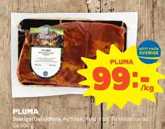 Pluma