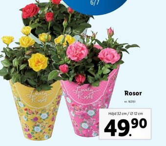 Lidl Rosor erbjuda