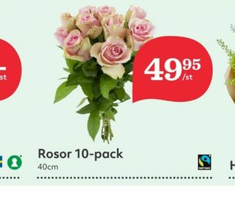 Hemköp Blommor erbjuda