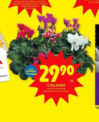 ICA Kvantum Plantor erbjuda