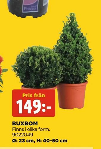 Jem&Fix Buxbom erbjuda