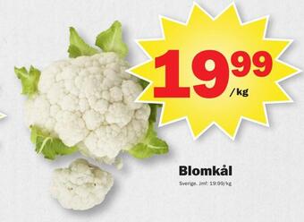 Pekås Blomkål erbjuda