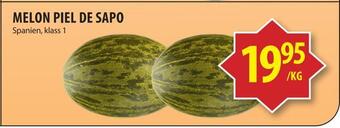 Melon piel de sapo