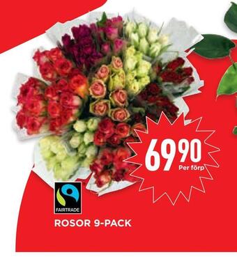 Willys Hemma Rosor 9-pack erbjuda