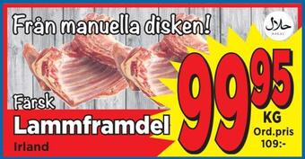 Supergrossen Lammframdel erbjuda