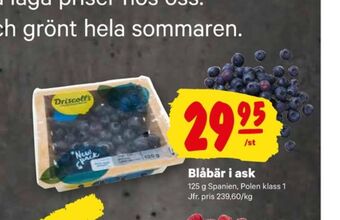 City Gross Driscolls blåbär erbjuda