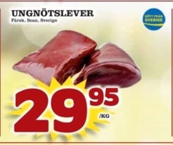 Matdax Scan ungnötslever erbjuda