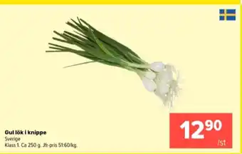 Coop Extra Mellan lök erbjuda