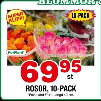 Nya Pulsen Rosor, 10-pack erbjuda