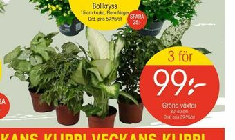 EKO Gröna växter erbjuda