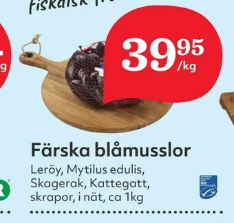 Hemköp Färska blåmusslor erbjuda