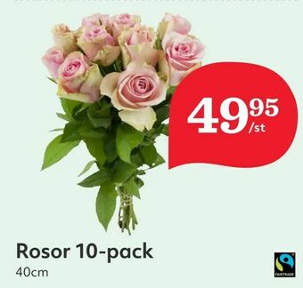 Hemköp Rosor 10-pack erbjuda