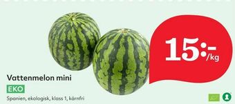 Hemköp Vattenmelon mini erbjuda