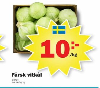 Pekås Färsk vitkål erbjuda