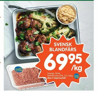 Tempo Svensk blandfärs erbjuda