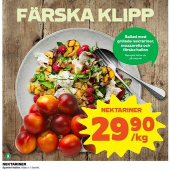 Coop Extra Nektariner erbjuda